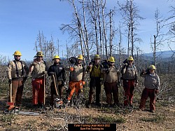 Advanced Tree Faller class - Ukiah 2022